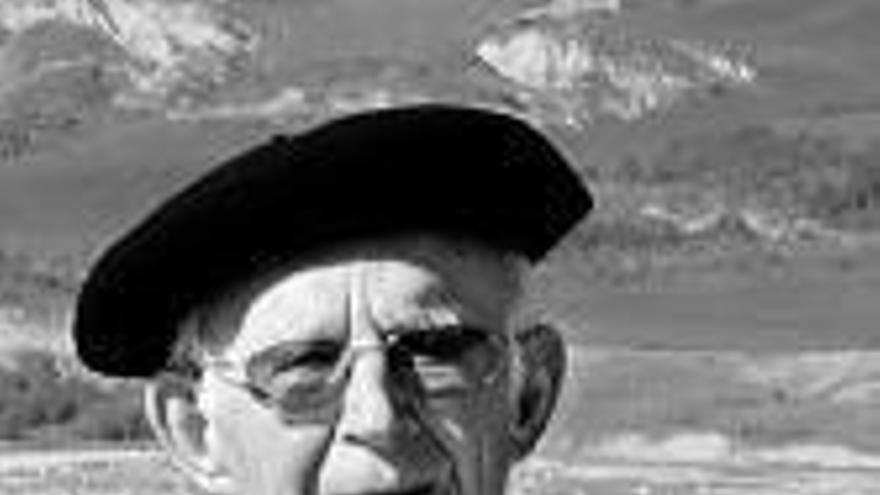  'irudi nagusia' 