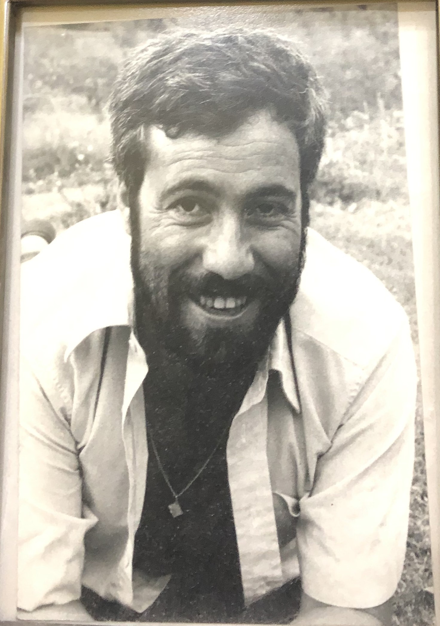  'irudi nagusia' 