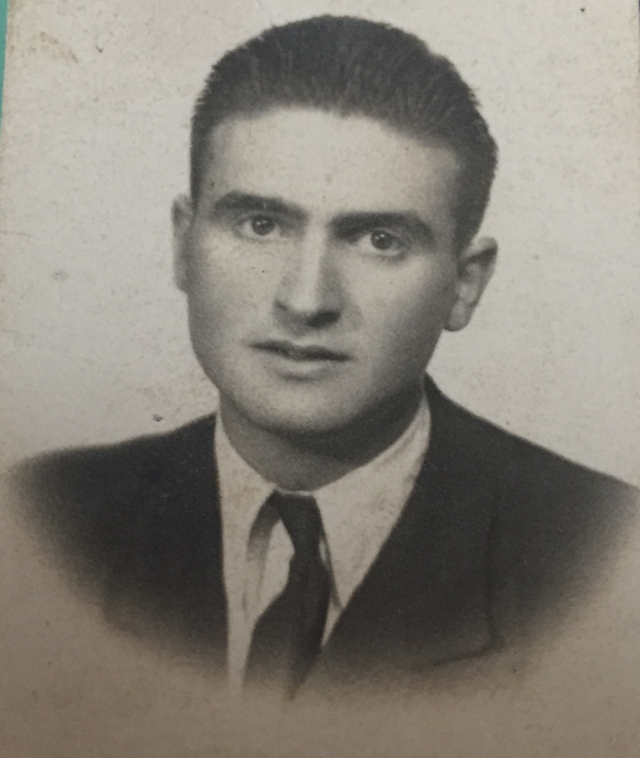  'irudi nagusia' 
