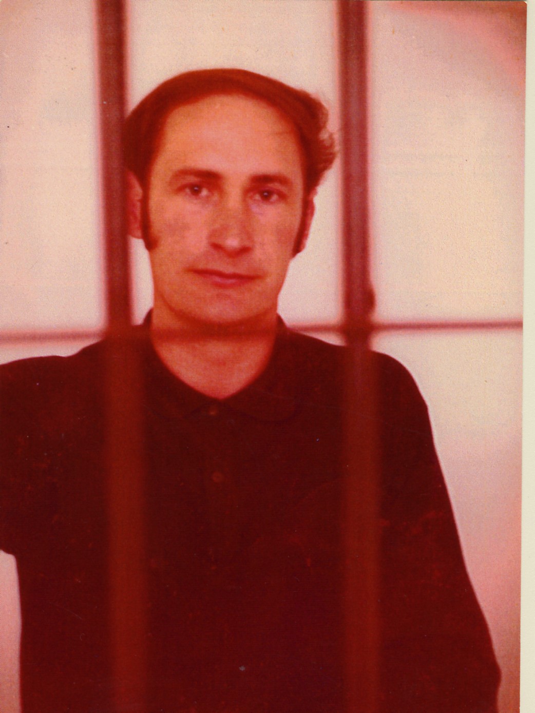 'irudi nagusia' 